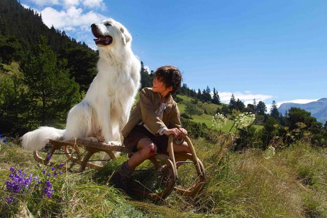 靈犬貝兒之奇蹟救援劇照 5