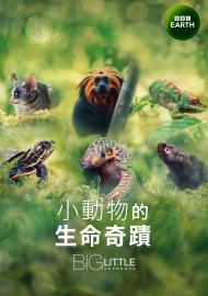 小動物的生命奇蹟 第一季