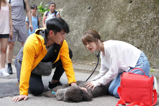 寵愛Pet Pet 線上看