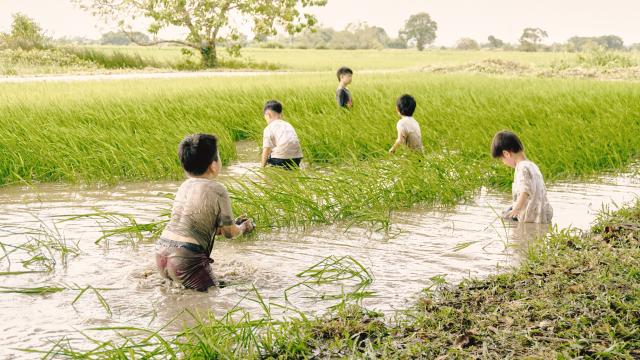 孩子，你好嗎？山頂小屋劇照 2