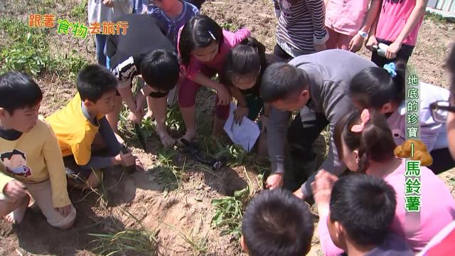 跟著食物去旅行 線上看