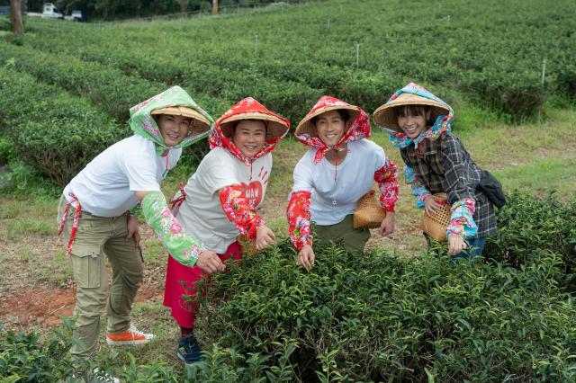 花甲少年趣旅行 第四季劇照 4