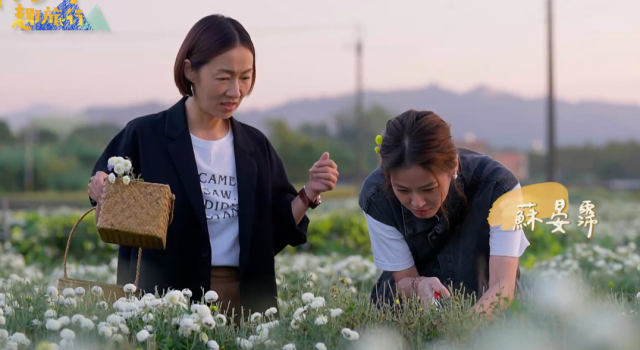 花甲少年趣旅行 第六季 第78集 線上看