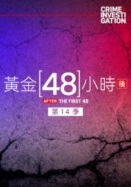 黃金48小時後 第十四季