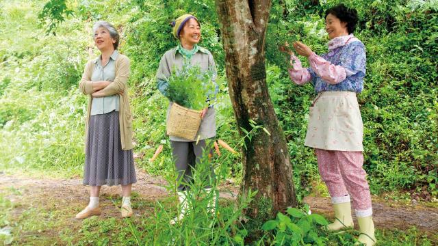 多彩人生劇照 2