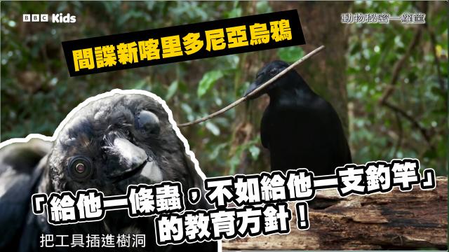 動物秘密一籮筐 第一季 第3集 線上看