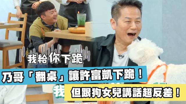 法鬥的專長「就是笨」！地板動作超失控《哈囉！毛小孩》精華片段 線上看