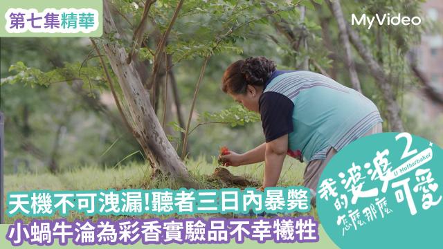 【精華片段】小鷗出妙招 逼媽媽不要再來亂！｜我的婆婆怎麼那麼可愛 第二季 線上看