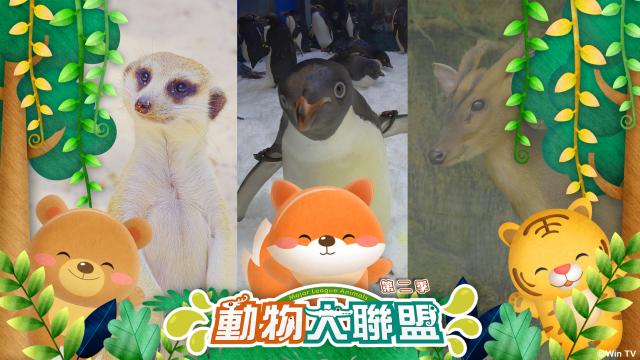 動物大聯盟 第二季